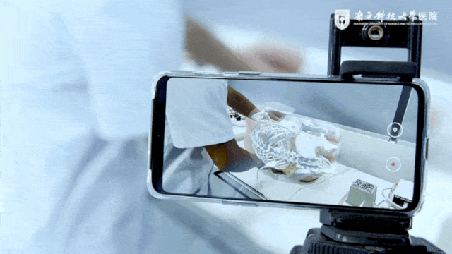 202006290907325191.Gif