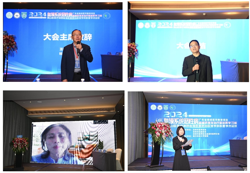 微信截图_20241211091516