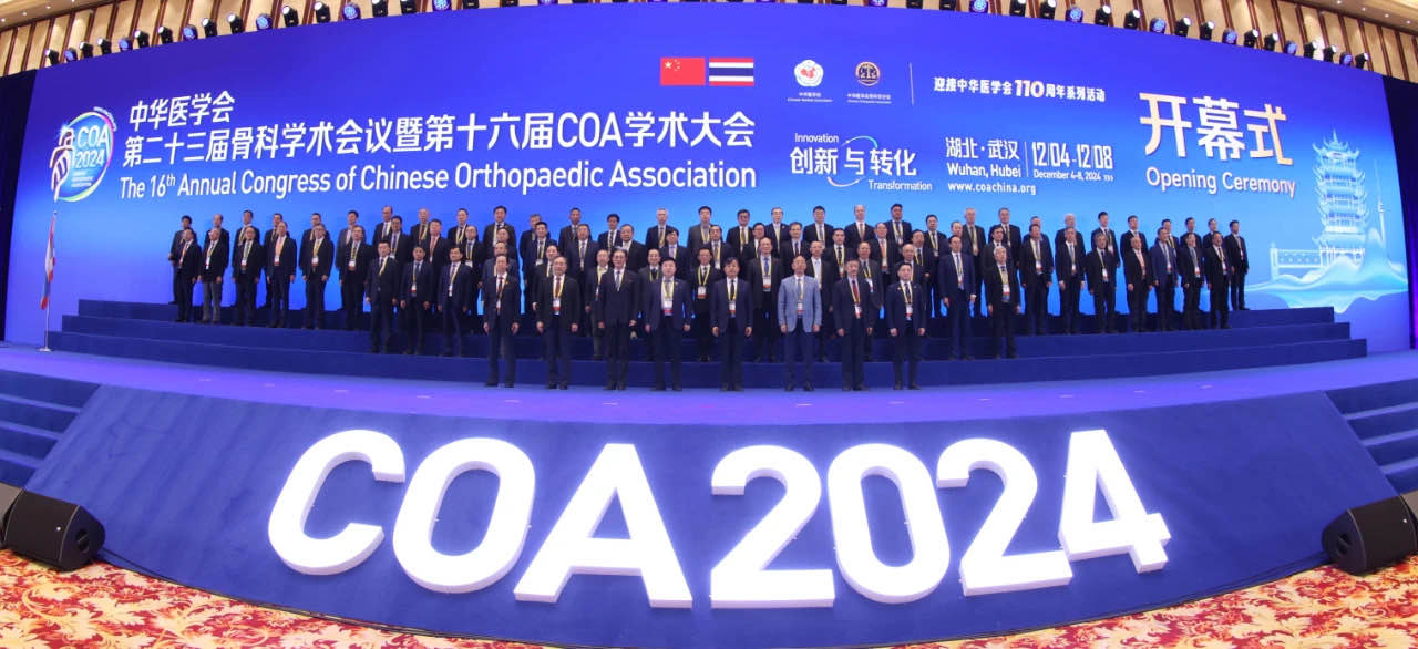 大会图_1734598245323