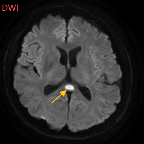 500x500_682c2dcb9435f.png