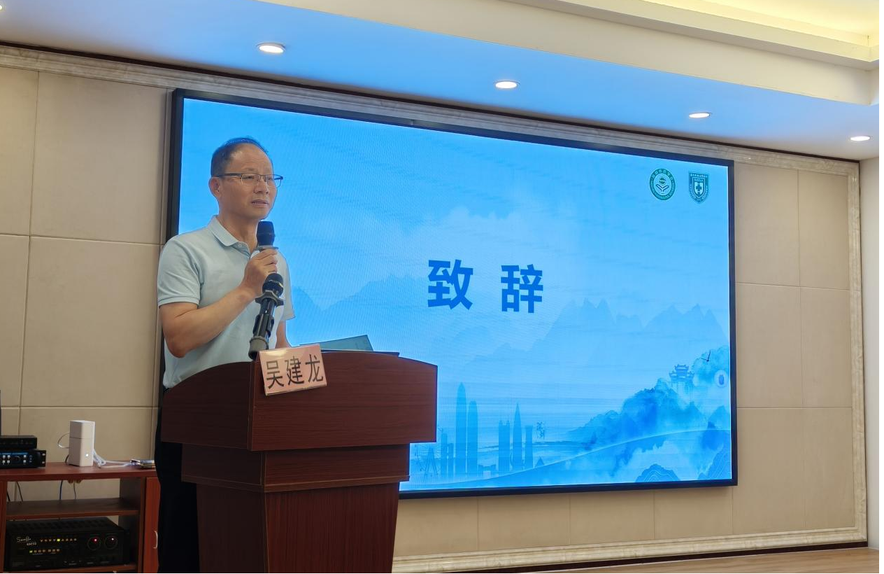 图片7